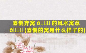 喜鹊弃窝 🐋 的风水寓意 🐝 (喜鹊的窝是什么样子的)